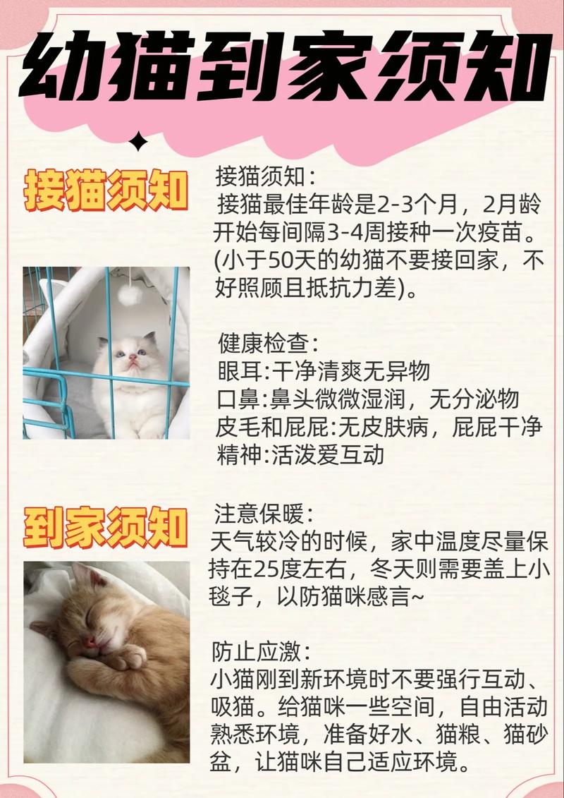 定期驱虫疫苗选猫砂喂猫粮,健康长寿(养猫须知送上七个实用养猫技巧) 定期驱虫疫苗选猫砂喂猫粮,健康长寿(养猫须知送上七个实用养猫技巧)