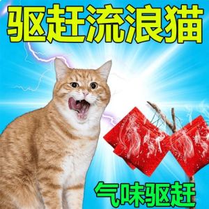 物理+气味+超声波，人道上位（怎么把野猫赶走不再来）