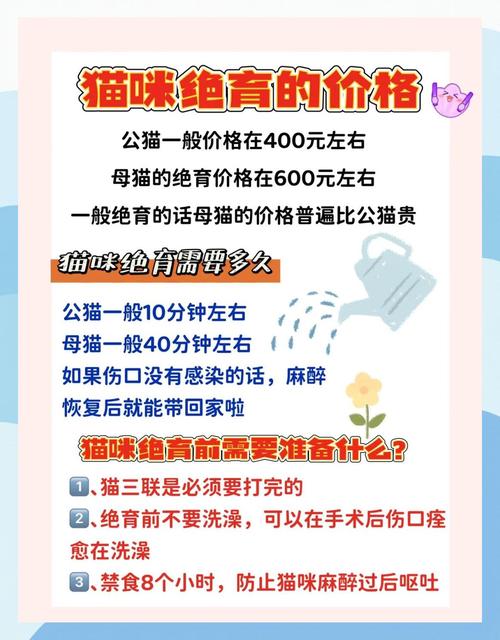 猫咪绝育好处多，健康幸福都保障！（猫猫绝育有什么好处）