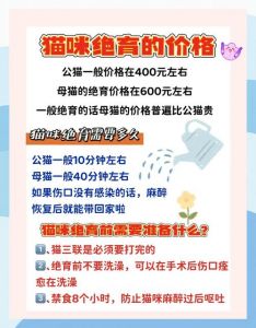 猫咪绝育好处多，健康幸福都保障！（猫猫绝育有什么好处）