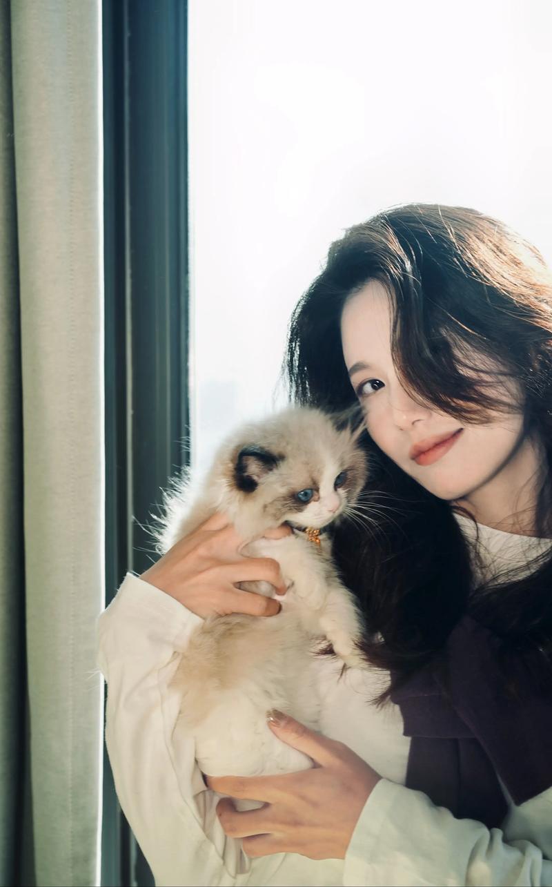 我家两只布偶猫的可爱与古怪(我和我的布偶猫) 我家两只布偶猫的可爱与古怪(我和我的布偶猫)