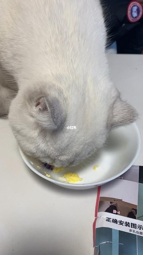 紫薯可偶尔喂猫狗,量要少清淡(小猫咪能吃紫薯吗) 紫薯可偶尔喂猫狗,量要少清淡(小猫咪能吃紫薯吗)