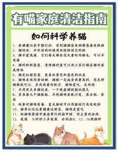 猫砂盆食水盆猫粮猫窝等基础装备清单（新手养猫有哪些建议）