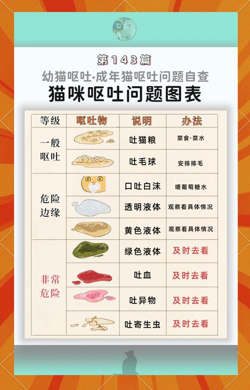 幼猫不吃不喝呕吐?速联兽医别耽误!(幼猫不吃东西呕吐能自己好吗) 幼猫不吃不喝呕吐?速联兽医别耽误!(幼猫不吃东西呕吐能自己好吗)