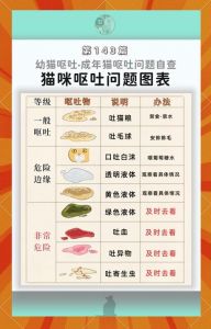 猫咪吃多会吐，胖了还可能得病（猫吃多了会怎么样）