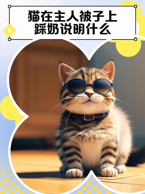 猫咪踩奶信任你,快来抚摸它!(猫咪踩奶说明什么) 猫咪踩奶信任你,快来抚摸它!(猫咪踩奶说明什么)