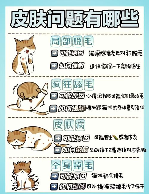 猫咪掉毛多?梳毛调整饮食来搞定!(猫咪怎么样才能不掉毛) 猫咪掉毛多?梳毛调整饮食来搞定!(猫咪怎么样才能不掉毛)