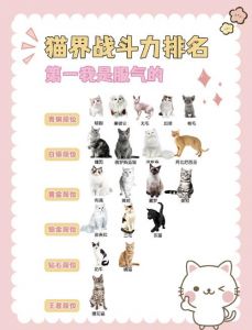 猫咪偏爱蓝绿世界，花纹虎斑更吸睛（猫眼中好看的猫排行）