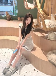 布偶猫女主播成网红新宠（布偶猫女主播）