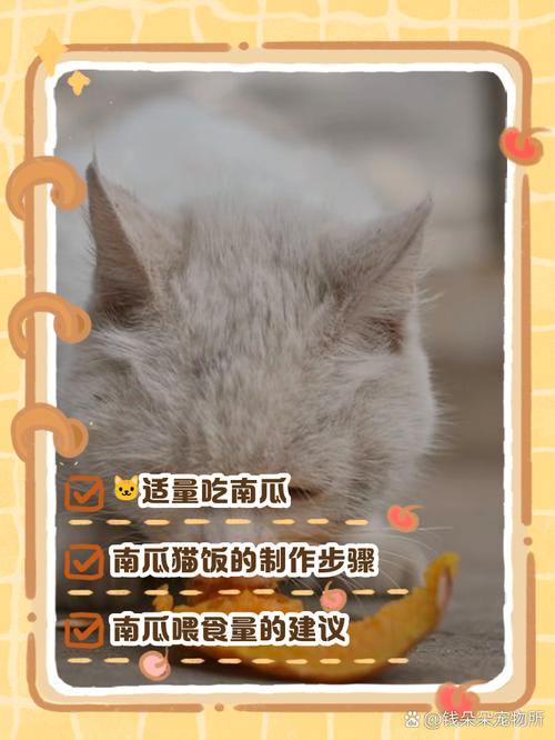 蒸南瓜可喂猫,作零食辅食,勿当主食(猫能吃南瓜吗蒸熟的) 蒸南瓜可喂猫,作零食辅食,勿当主食(猫能吃南瓜吗蒸熟的)