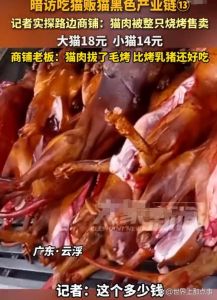 猫肉有营养但争议大，吃与不吃看个人观点（猫肉吃了有什么好处）