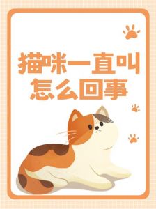 幼猫夜啼怎么办？（幼猫一直叫要不要理它）