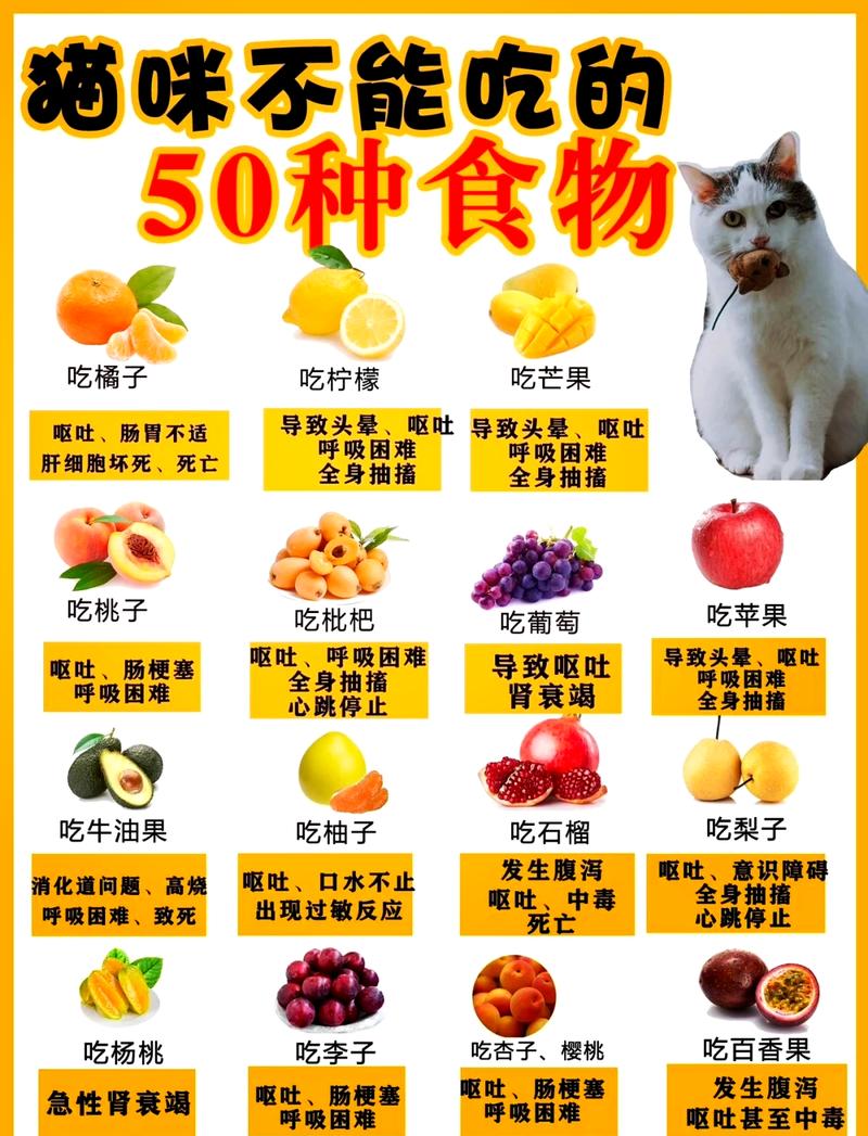 喂猫避开的危险食物(小猫有什么不能吃) 喂猫避开的危险食物(小猫有什么不能吃)