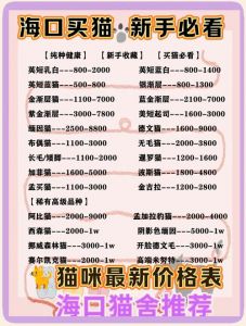 江澈布偶猫等级价格解析（布偶猫等级和价位）