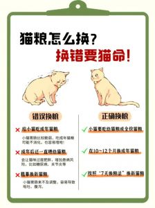 猫能吃番薯玉米 但要少吃别当主食（猫只吃番薯和玉米怎么办）