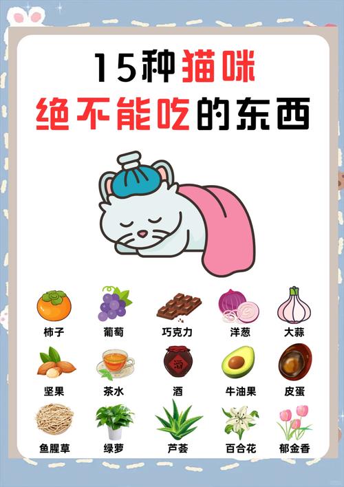 科学喂养,选对猫粮保健康!(猫为何尽量少吃猫饭) 科学喂养,选对猫粮保健康!(猫为何尽量少吃猫饭)