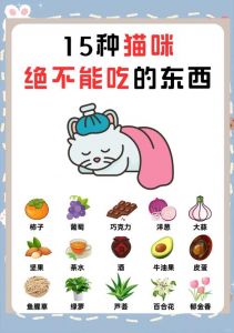 科学喂养，选对猫粮保健康！（猫为何尽量少吃猫饭）