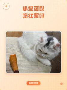 红薯葱姜肉地瓜蛋黄（猫猫可以吃红薯吗熟的）