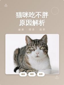 猫咪不长胖原因多，基因寄生虫运动量大（猫咪不长胖是什么原因）