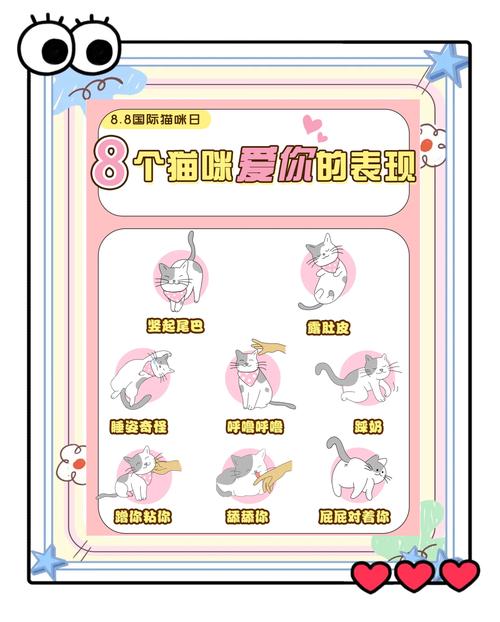 黏人等你回家让你摸肚肚(猫咪深爱你的6大表现) 黏人等你回家让你摸肚肚(猫咪深爱你的6大表现)