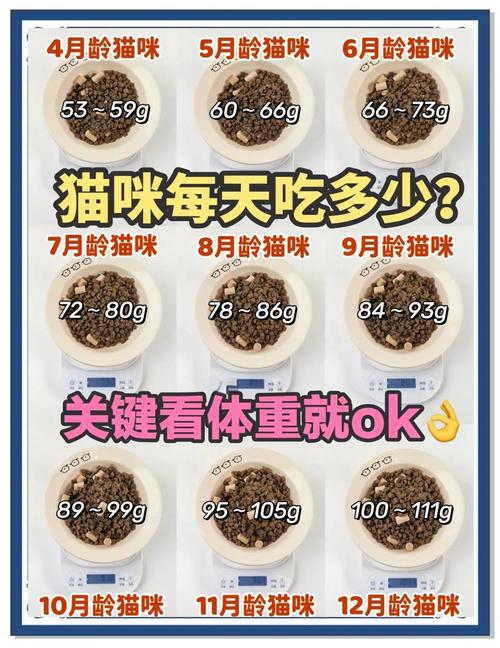 猫粮脂肪多少合适?看年龄活动量来调整(猫粮粗脂肪多少合适) 猫粮脂肪多少合适?看年龄活动量来调整(猫粮粗脂肪多少合适)