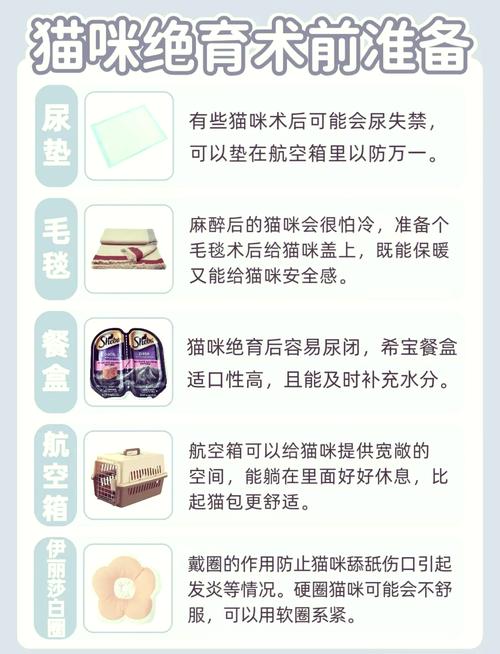 性格变温顺,但易胖需注意(母猫绝育有什么好处和坏处) 性格变温顺,但易胖需注意(母猫绝育有什么好处和坏处)