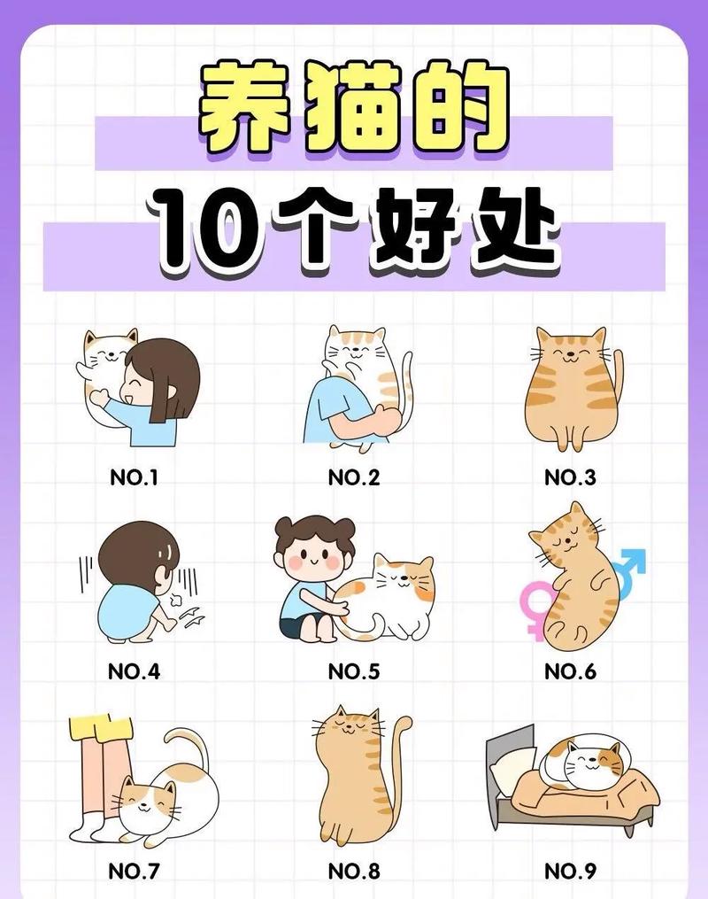 养猫好处多,压力有伴儿(家里养猫的好处和坏处) 养猫好处多,压力有伴儿(家里养猫的好处和坏处)