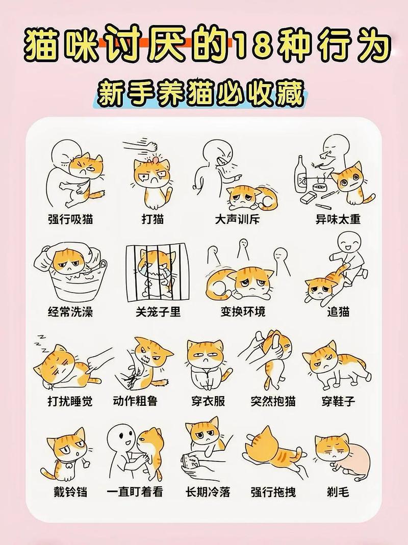猫咪不满的10种表现及应对(猫恨主人的十种表现) 猫咪不满的10种表现及应对(猫恨主人的十种表现)