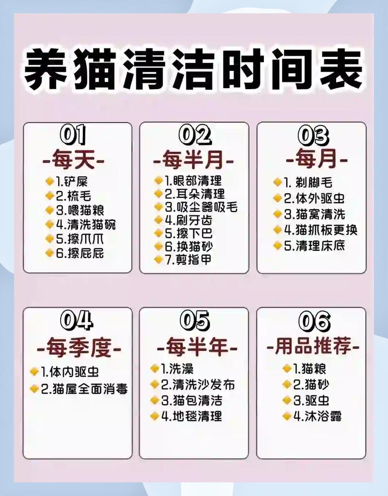 猫咪洗澡费用因地而异,大城市较贵,小城市较便宜(猫洗澡多少钱一次) 猫咪洗澡费用因地而异,大城市较贵,小城市较便宜(猫洗澡多少钱一次)