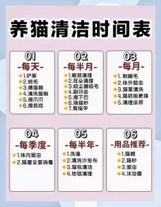 猫咪洗澡费用因地而异，大城市较贵，小城市较便宜（猫洗澡多少钱一次）