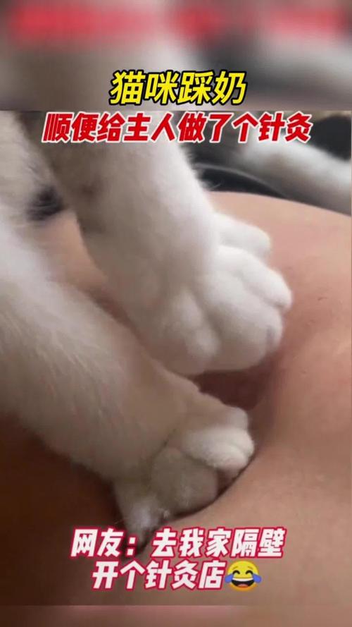 公猫踩奶正常吗?绝育后更常见(公猫踩奶是什么表现) 公猫踩奶正常吗?绝育后更常见(公猫踩奶是什么表现)