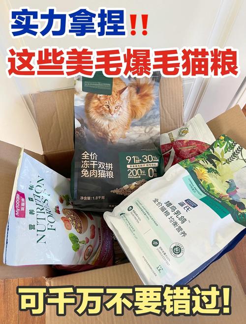 布偶猫掉毛多?营养清洁压力是主因(怎样才能让布偶猫不掉毛) 布偶猫掉毛多?营养清洁压力是主因(怎样才能让布偶猫不掉毛)