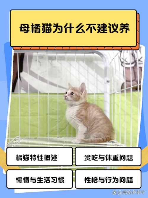 健康生活情绪全面评估(养猫对女性的危害) 健康生活情绪全面评估(养猫对女性的危害)