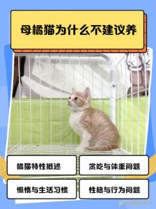 健康生活情绪全面评估（养猫对女性的危害）