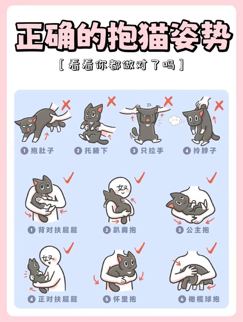 选猫砂盆猫粮,细心照料更幸福(怎么养猫的方法大全) 选猫砂盆猫粮,细心照料更幸福(怎么养猫的方法大全)