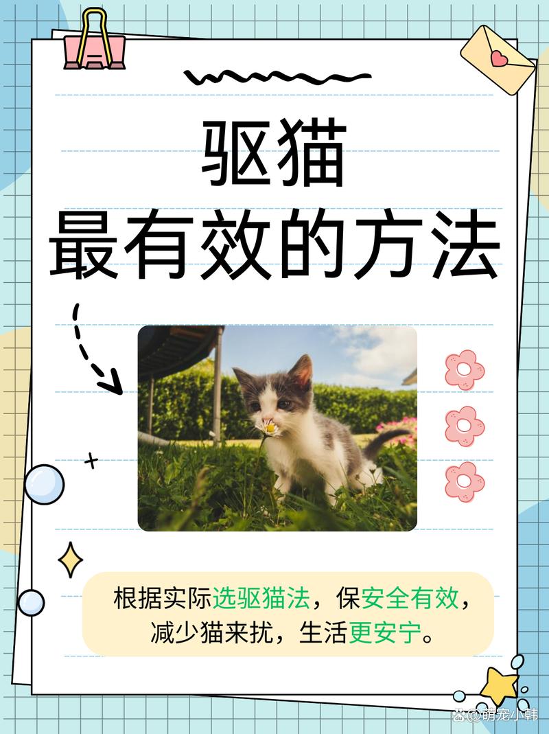 如何帮猫咪适应新环境(农村养猫怎么防止猫跑) 如何帮猫咪适应新环境(农村养猫怎么防止猫跑)