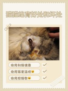 健康幸福少烦恼（母猫不绝育的优点）
