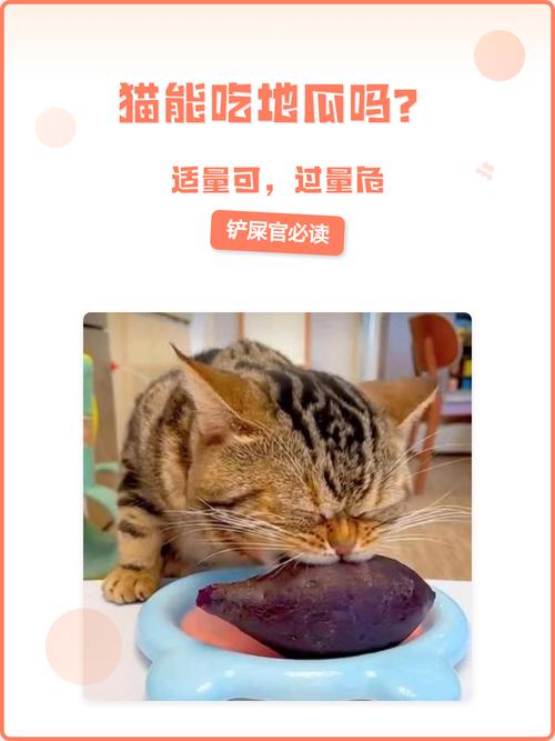 红薯叶可喂猫补营养,过量易消化不良,凤梨叶有毒需注意(猫能吃红薯叶子吗) 红薯叶可喂猫补营养,过量易消化不良,凤梨叶有毒需注意(猫能吃红薯叶子吗)