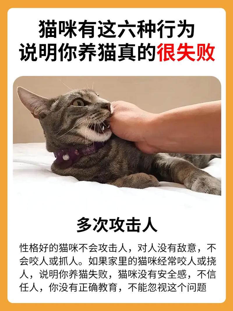 烦恼多?养橘猫好处也不少(养橘猫的十大危害) 烦恼多?养橘猫好处也不少(养橘猫的十大危害)