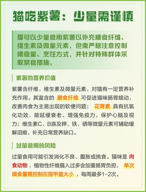 猫咪紫薯芋头猪肝要少吃(猫能吃紫薯吗蒸熟的) 猫咪紫薯芋头猪肝要少吃(猫能吃紫薯吗蒸熟的)