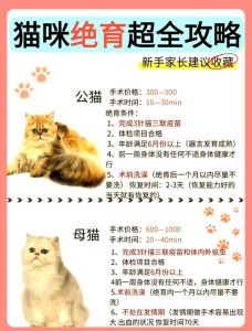 健康寿命性格好，易胖需管理（猫不绝育的好处和坏处）
