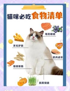 紫薯可少量喂猫，助消化，但非主食（猫猫可以吃紫薯么）