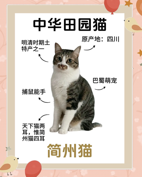 好奇爱自由,警惕贪吃的小吉祥物(简州猫是凶猫还是吉猫) 好奇爱自由,警惕贪吃的小吉祥物(简州猫是凶猫还是吉猫)