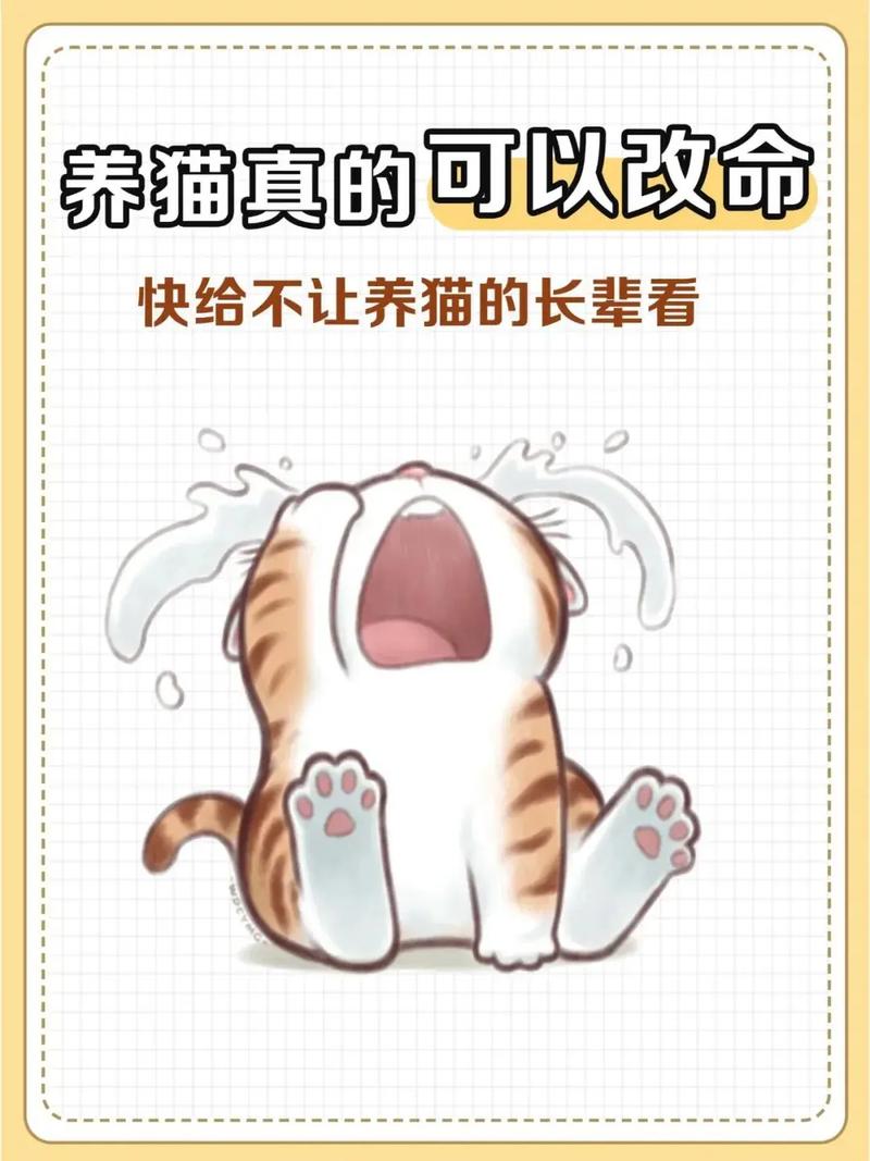 规律作息增免疫解孤独，幸福感满满！（女人长期养猫的好处）