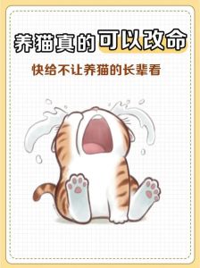 规律作息增免疫解孤独，幸福感满满！（女人长期养猫的好处）