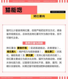 蒸红薯皮少量喂猫安全，助排便增免疫（猫能吃红薯皮吗蒸熟的）