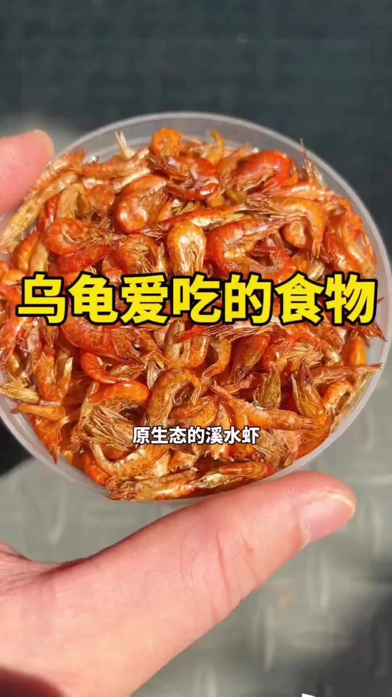 故事讲体重不够,虾米来帮忙(虾和乌龟的笑话故事) 故事讲体重不够,虾米来帮忙(虾和乌龟的笑话故事)