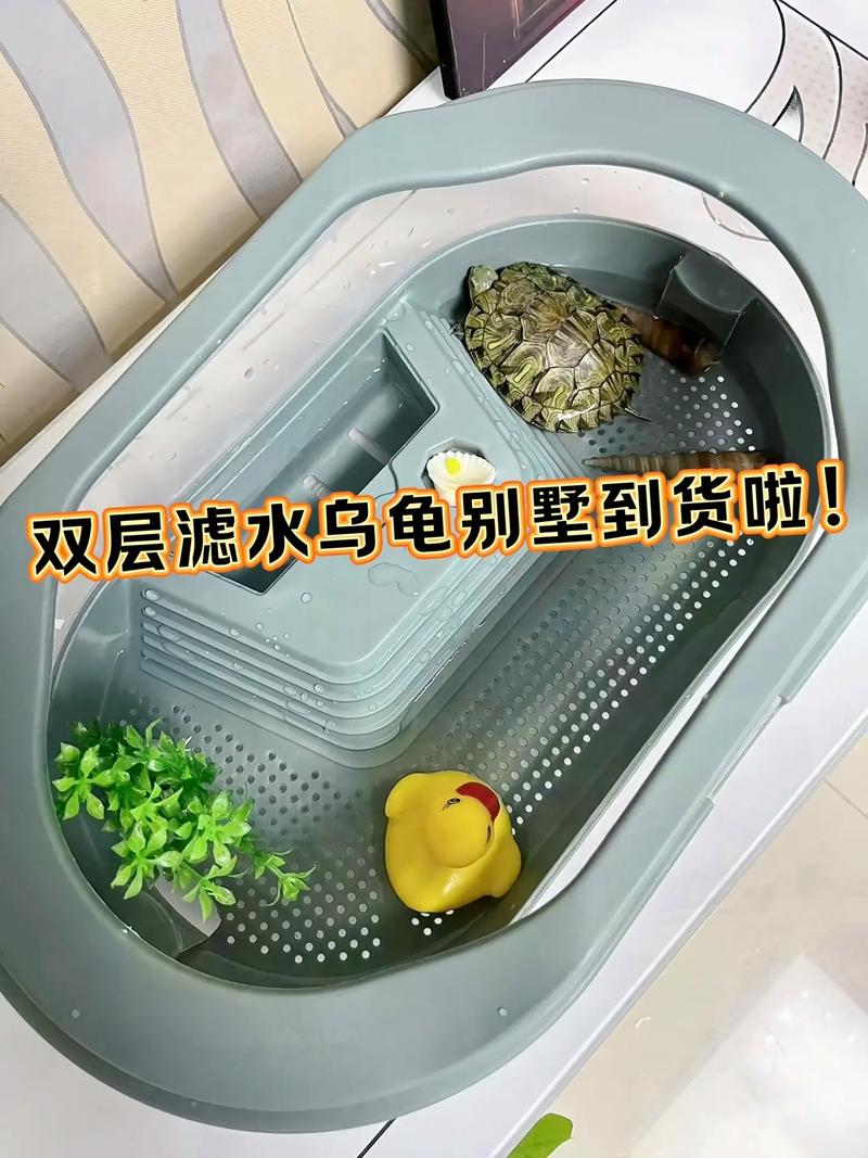 乌龟窝怎么布置?水陆分区,清洁保温是关键(乌龟的窝该怎么布置) 乌龟窝怎么布置?水陆分区,清洁保温是关键(乌龟的窝该怎么布置)