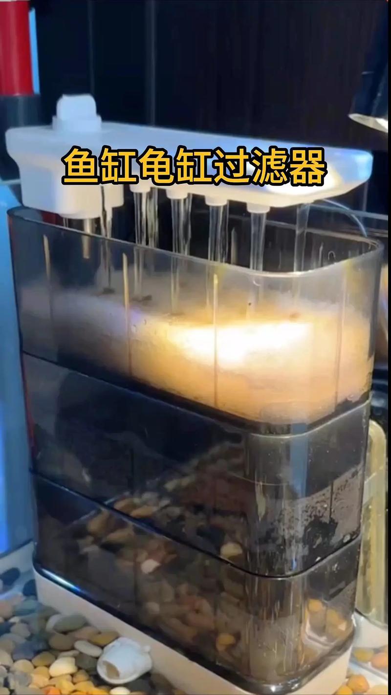 龟缸过滤不用复杂,简单勤换水也行,龟苗选迷你过滤(养龟用什么过滤比较好) 龟缸过滤不用复杂,简单勤换水也行,龟苗选迷你过滤(养龟用什么过滤比较好)