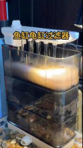 龟缸过滤不用复杂，简单勤换水也行，龟苗选迷你过滤（养龟用什么过滤比较好）